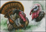 (image for) Wild Turkey